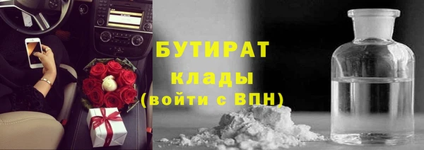 хмурый Бородино