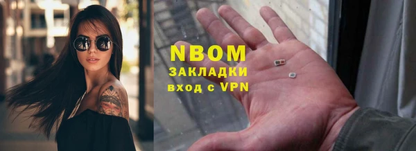 хмурый Бородино