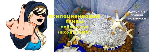 амф Бугульма