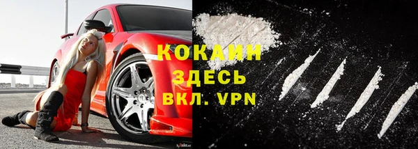 трава Магас